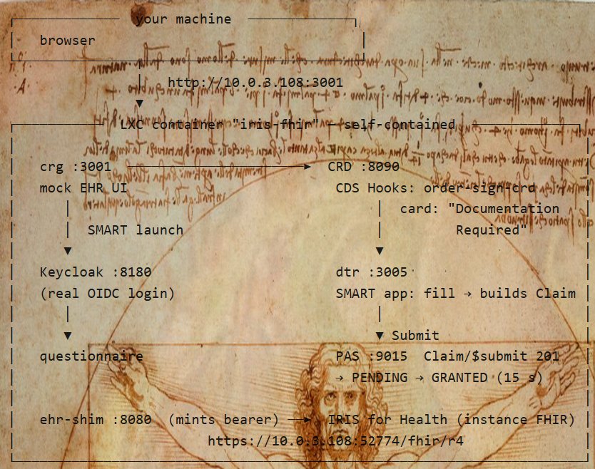 Leonardo da Vinci's Vitruvian Man — ink layer on a parchment ground, the human figure inscribed in square and circle